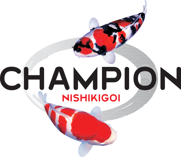Gift Card | Champion Nishikigoi