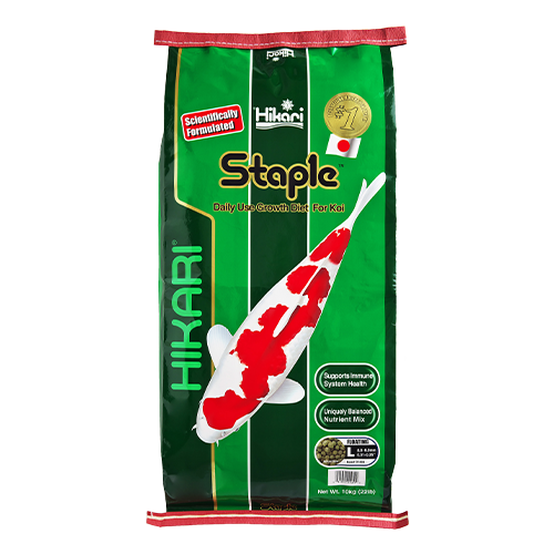 Hikari Staple 10 kg Large Pellet bag – premium koi floating pellets