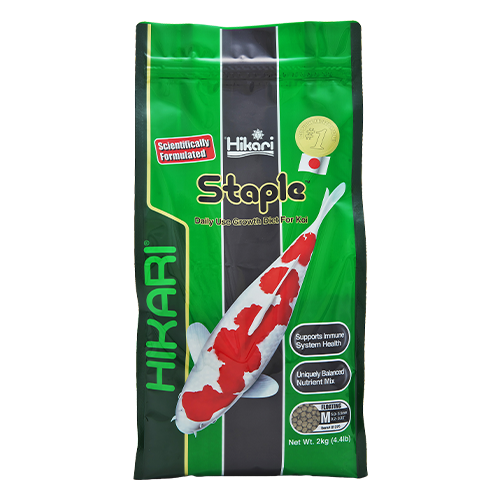Hikari Staple 2 kg Medium Pellet bag – best floating koi fish food pellets