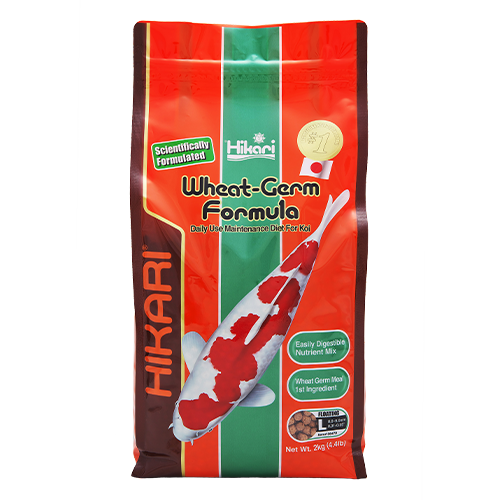 Bag of Hikari Wheat-Germ Large Pellets 2 kg floating koi food for ponds