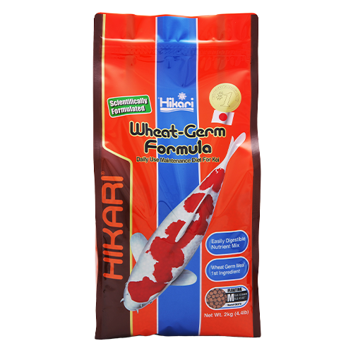 Bag of Hikari Wheat-Germ Medium Pellets 2 kg floating koi fish food
