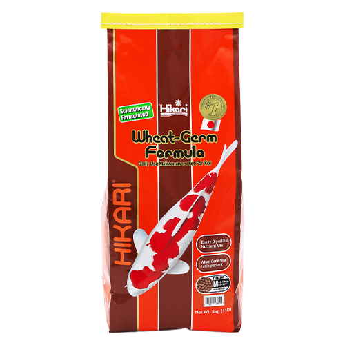 Bag of Hikari Wheat-Germ Medium Pellets 5 kg highly digestible food for koi