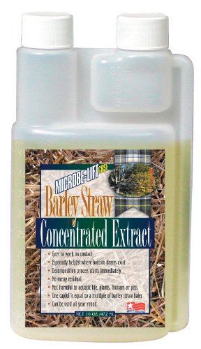Microbe Lift Pond Concentrated Extract Barley Straw