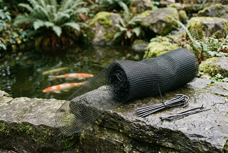 A roll of black mesh pond liner cover netting with metal stakes, placed on a mossy stone beside a small pond with koi fish and ferns in the background.