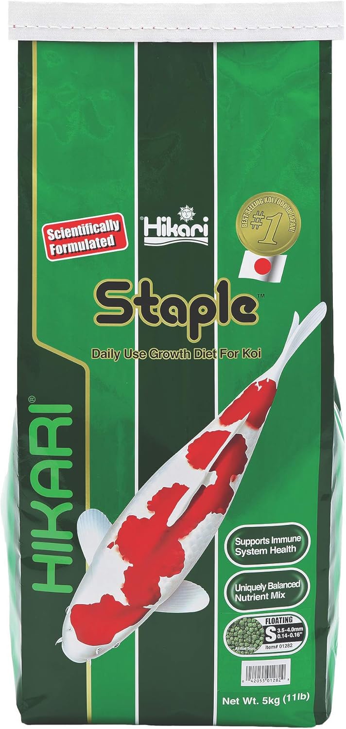 Hikari Staple: Best Koi Fish Food for Daily Koi Nutrition