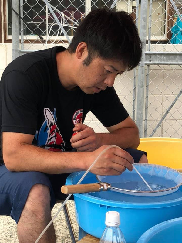 Suetsugu Koi Farm, Fukuoka