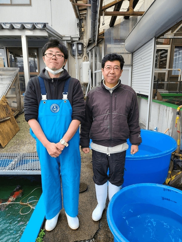 Nagoshi Koi Farm, Asahi, Toyama