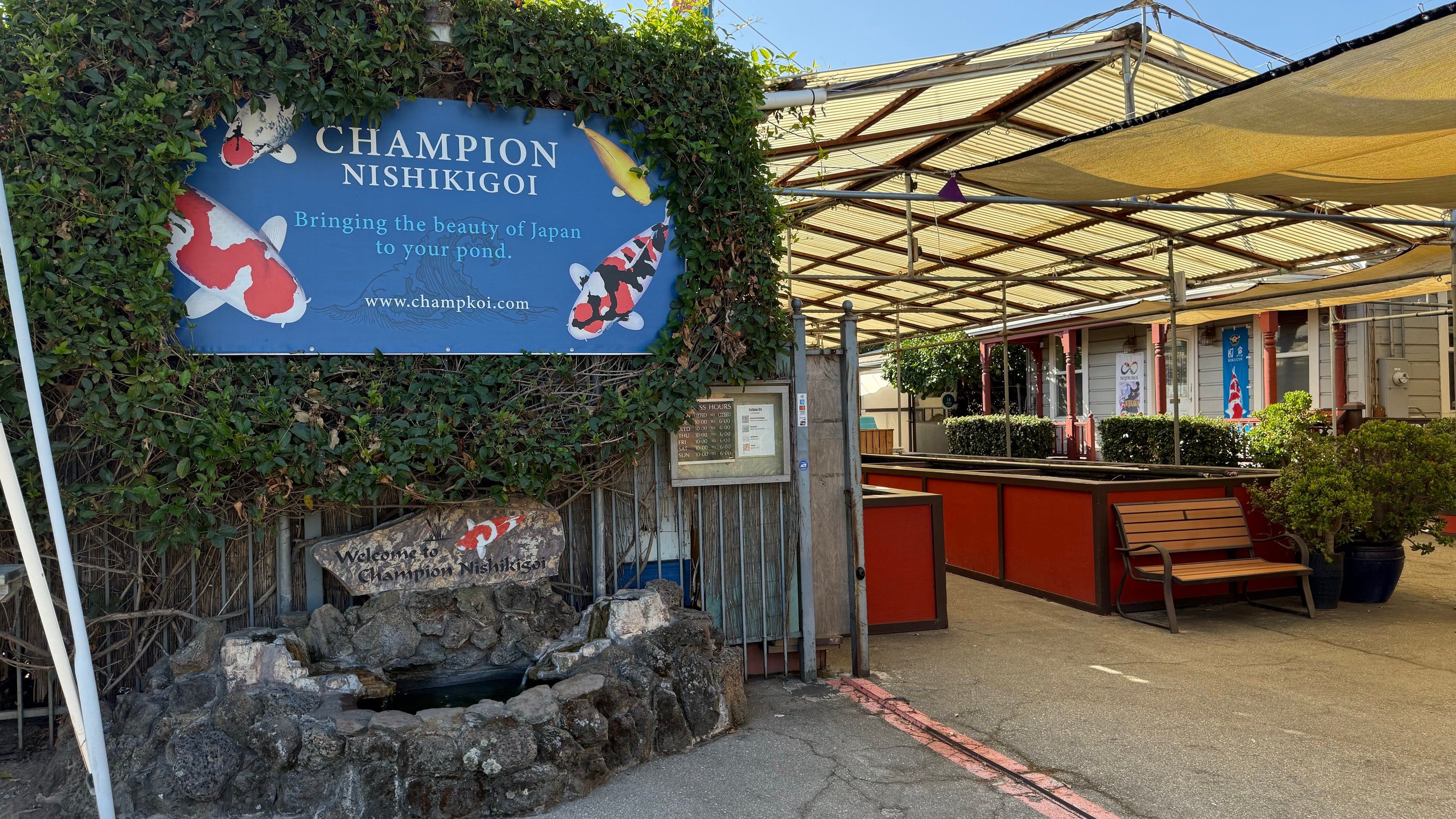 Champion Nishikigoi front entrance featuring shop sign and waterfall.