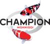 Premium Japanese Koi Fish for Sale – Live Arrival | ChampKoi