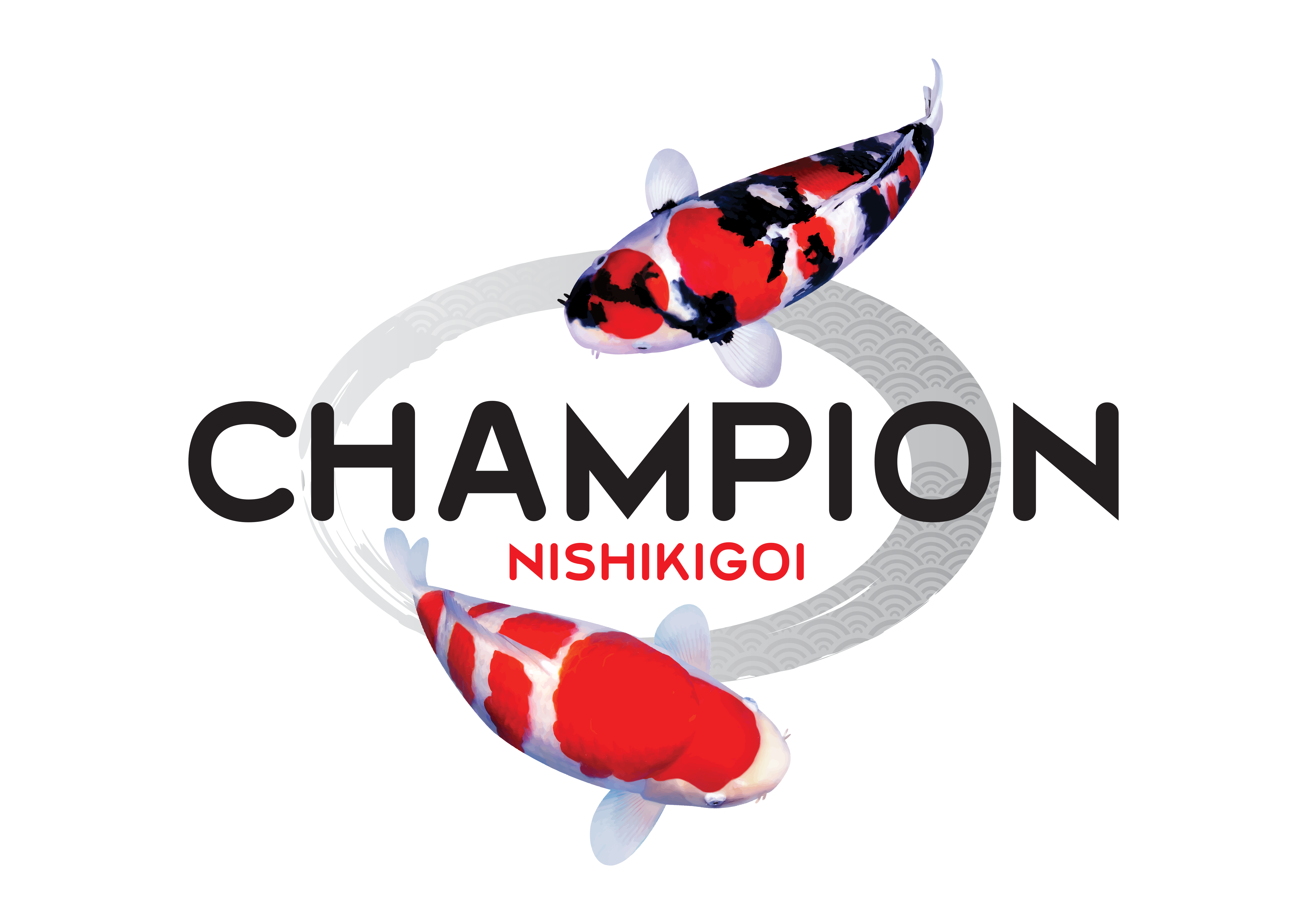 Kohaku salt+grape-500(値引き) ChampKoi_Logo_5000px.png?v=