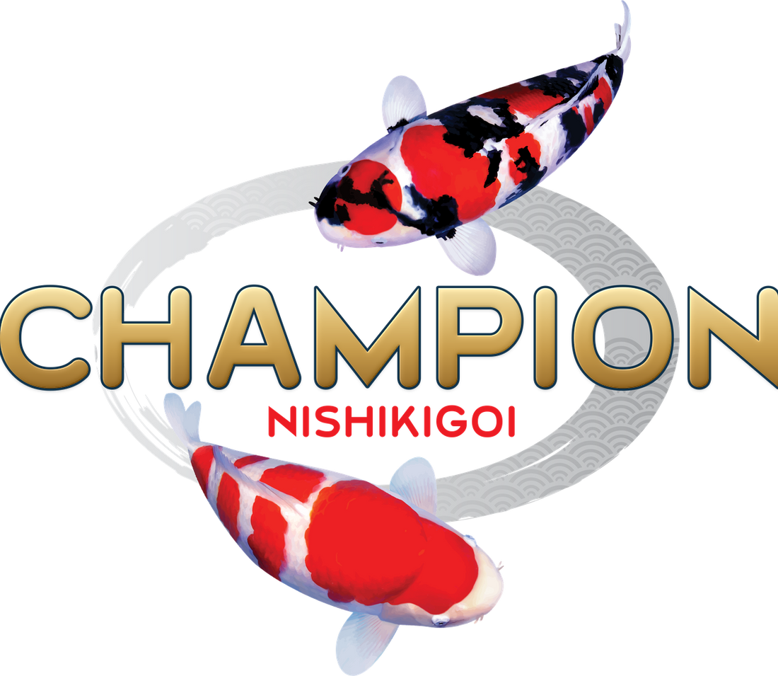 Champion Nishikigoi logo