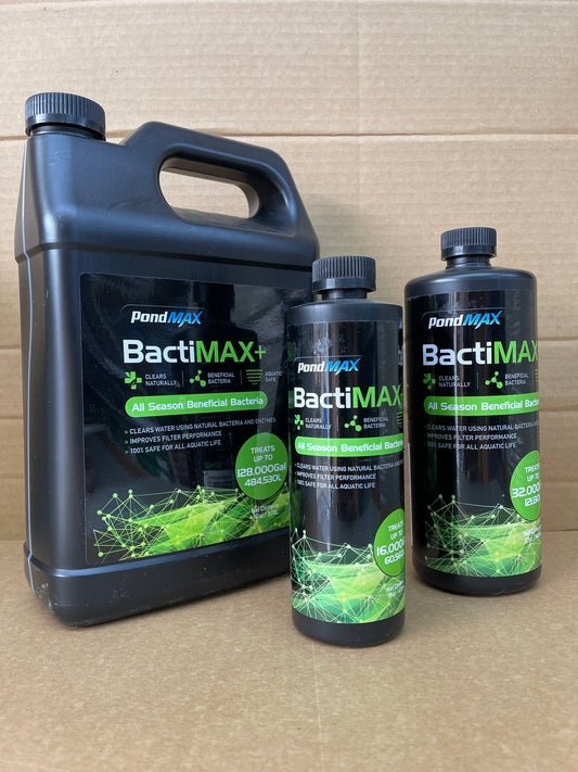 PondMax BactiMAX+ beneficial bacteria in three sizes, black jug and bottles with green labels