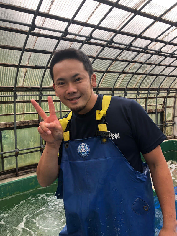 Sakazume Koi Farm, Ojiya, Niigata