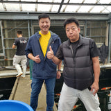 Isa Koi Farm