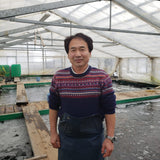 Otsuka Koi Farm