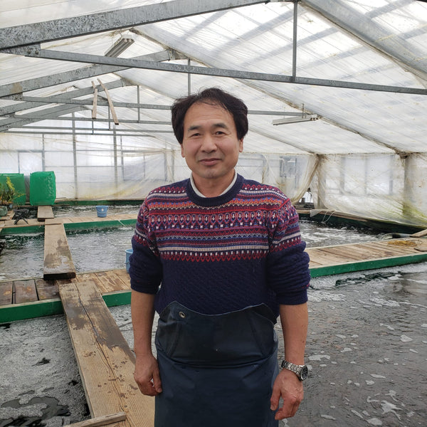 Otsuka Koi Farm, Ojiya, Niigata