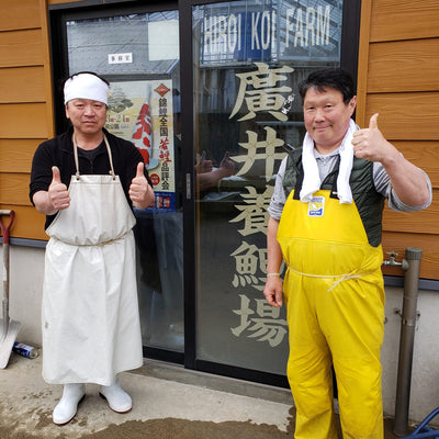 Hiroi Koi Farm