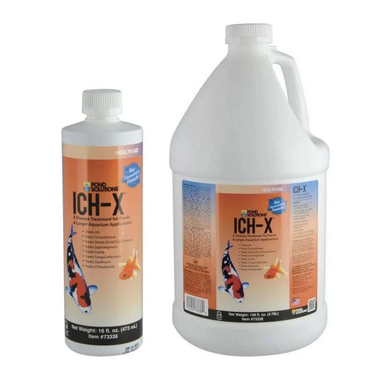 Pond Solutions Ich-X treatment in a 16 oz white bottle and 128 oz gallon jug with orange labels