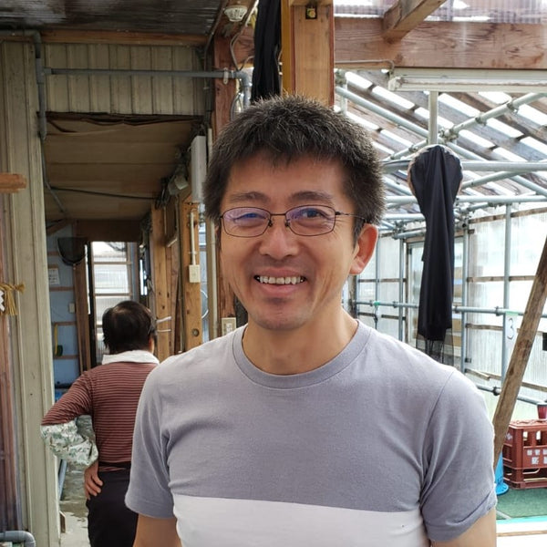 Kaneko Koi Farm, Nagaoka, Niigata
