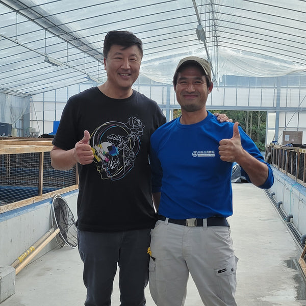 Omosako Koi Farm, Kure, Hiroshima