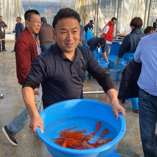 Sakai Fish Farm, Mihara, Hiroshima