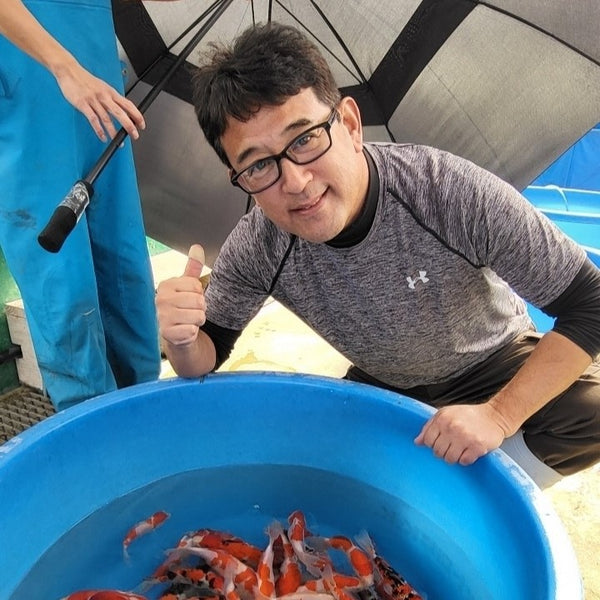 Matsue Koi Farm, Matsue, Shimane