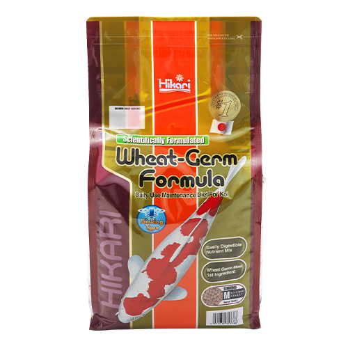 Hikari Wheat Germ Koi Food: Year-Round Digestible Diet