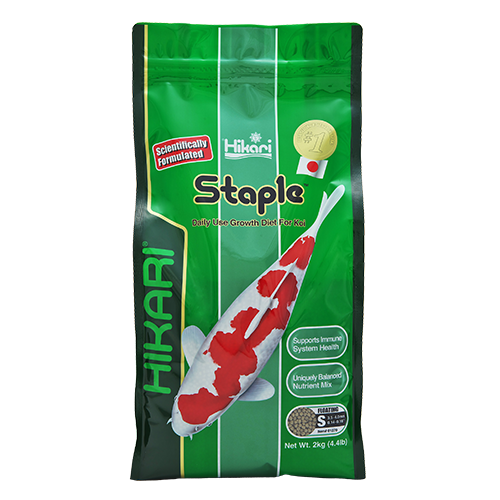 Hikari Staple: Best Koi Fish Food for Daily Koi Nutrition