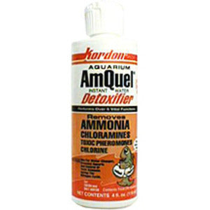 Kordon AmQuel